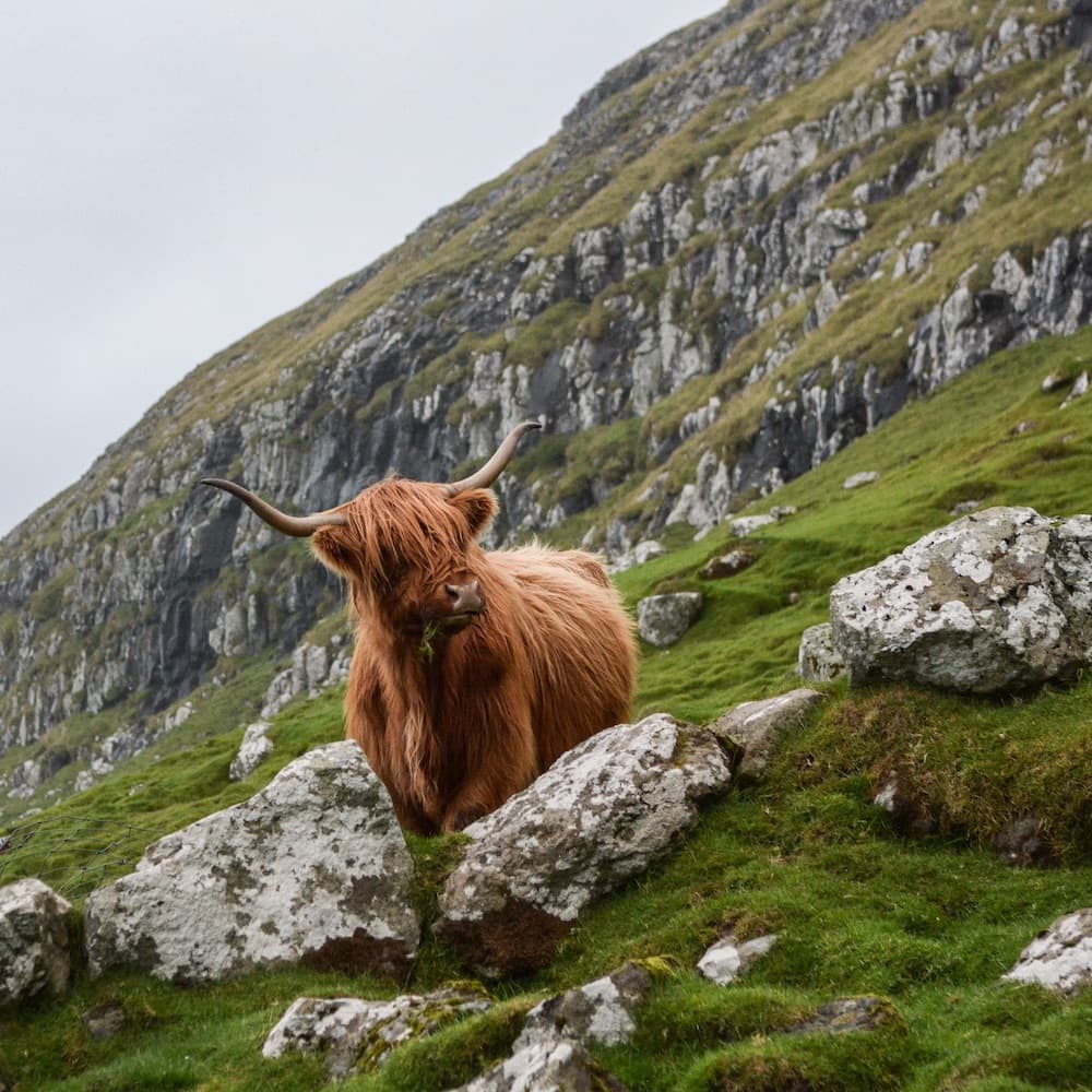 image of Scotland