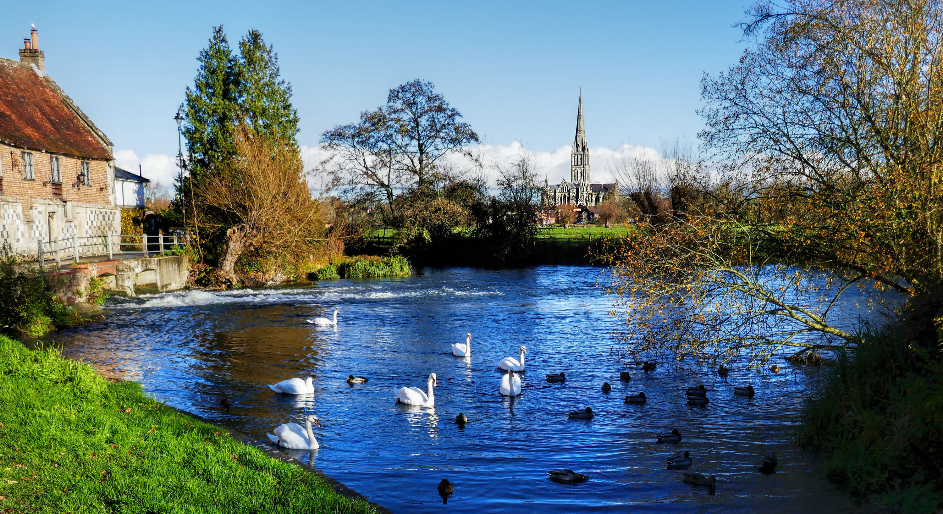 image of Salisbury
