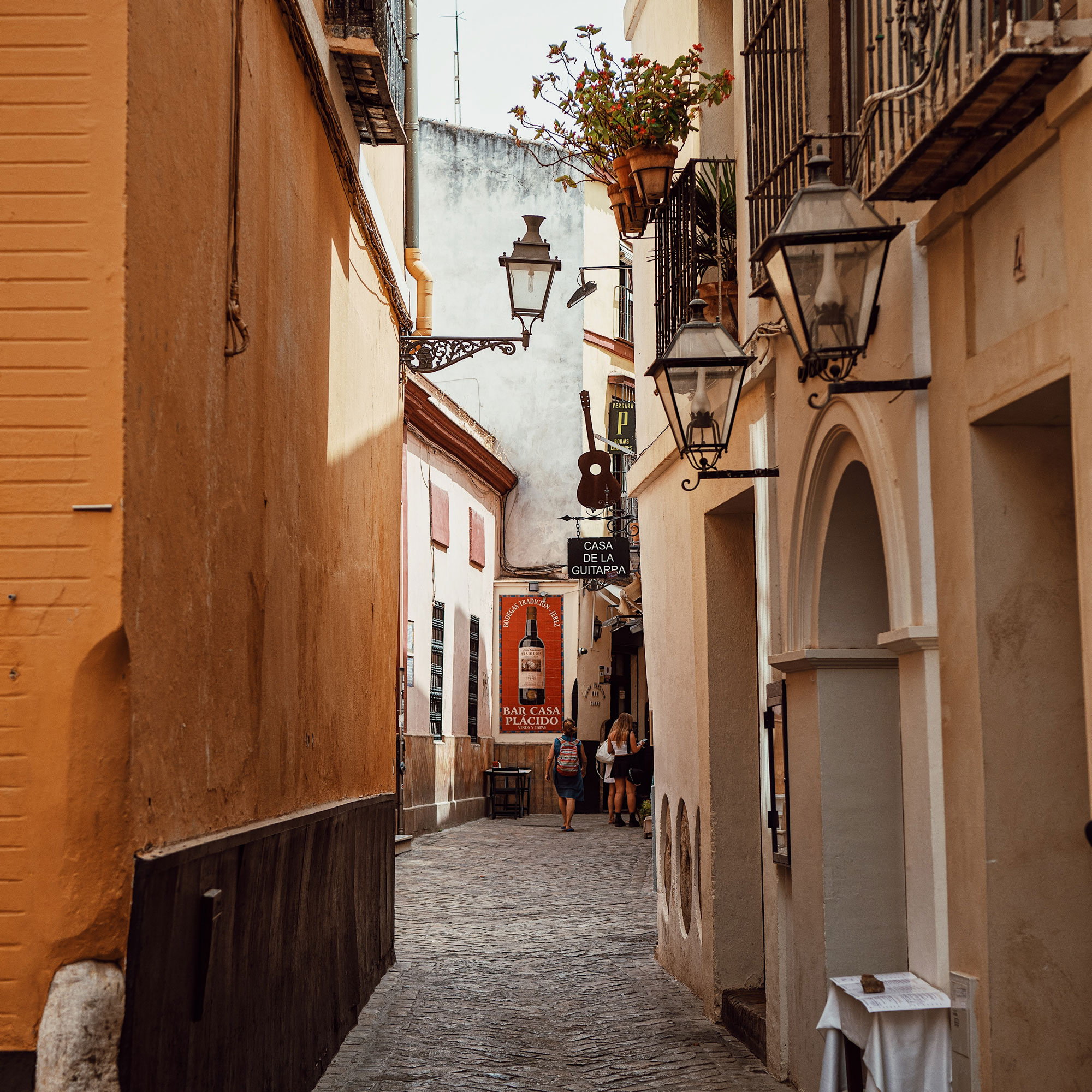 image of Santa Cruz Neighborhood