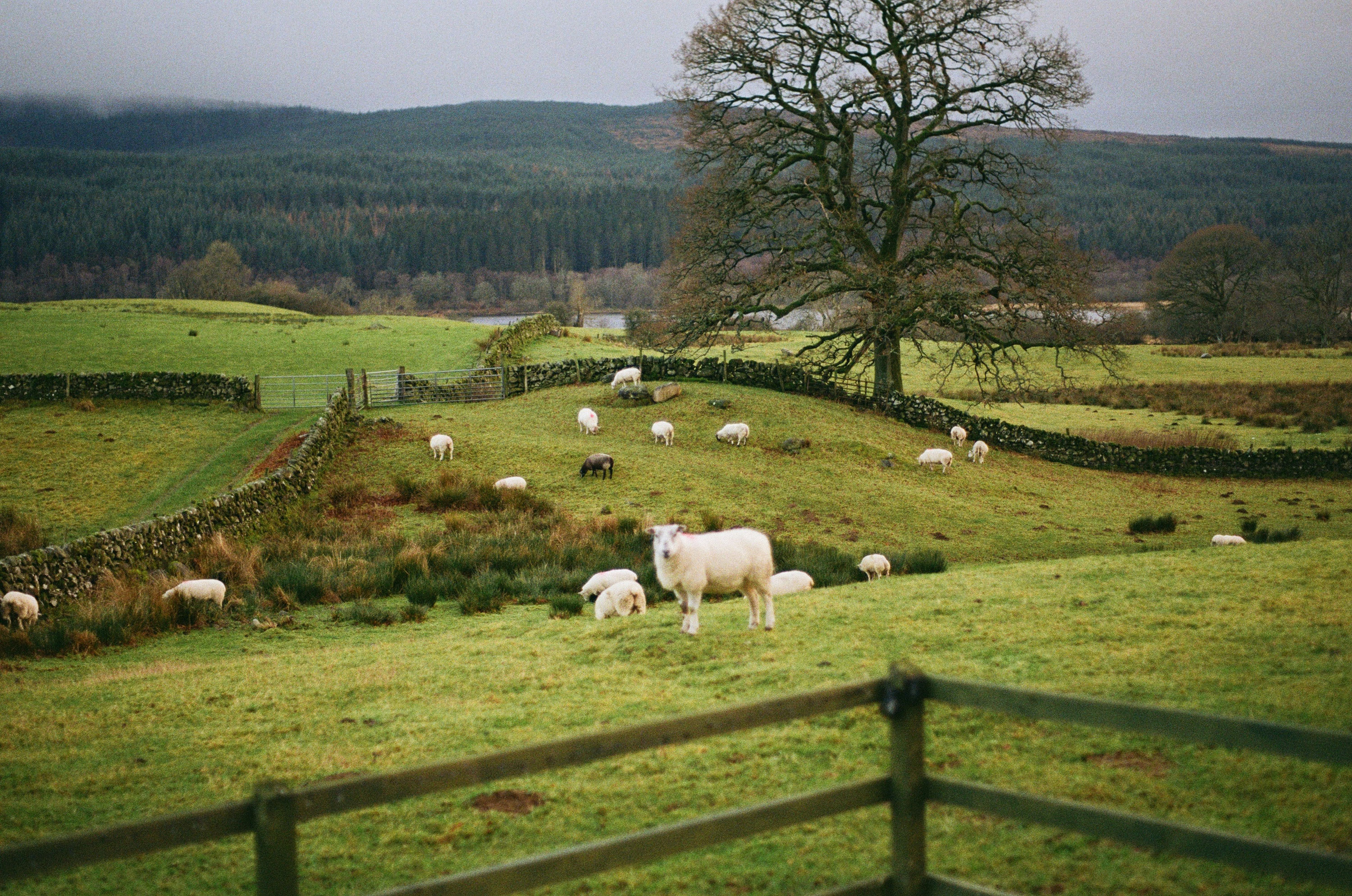 image of Dumfries