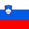 Slovakia's flag