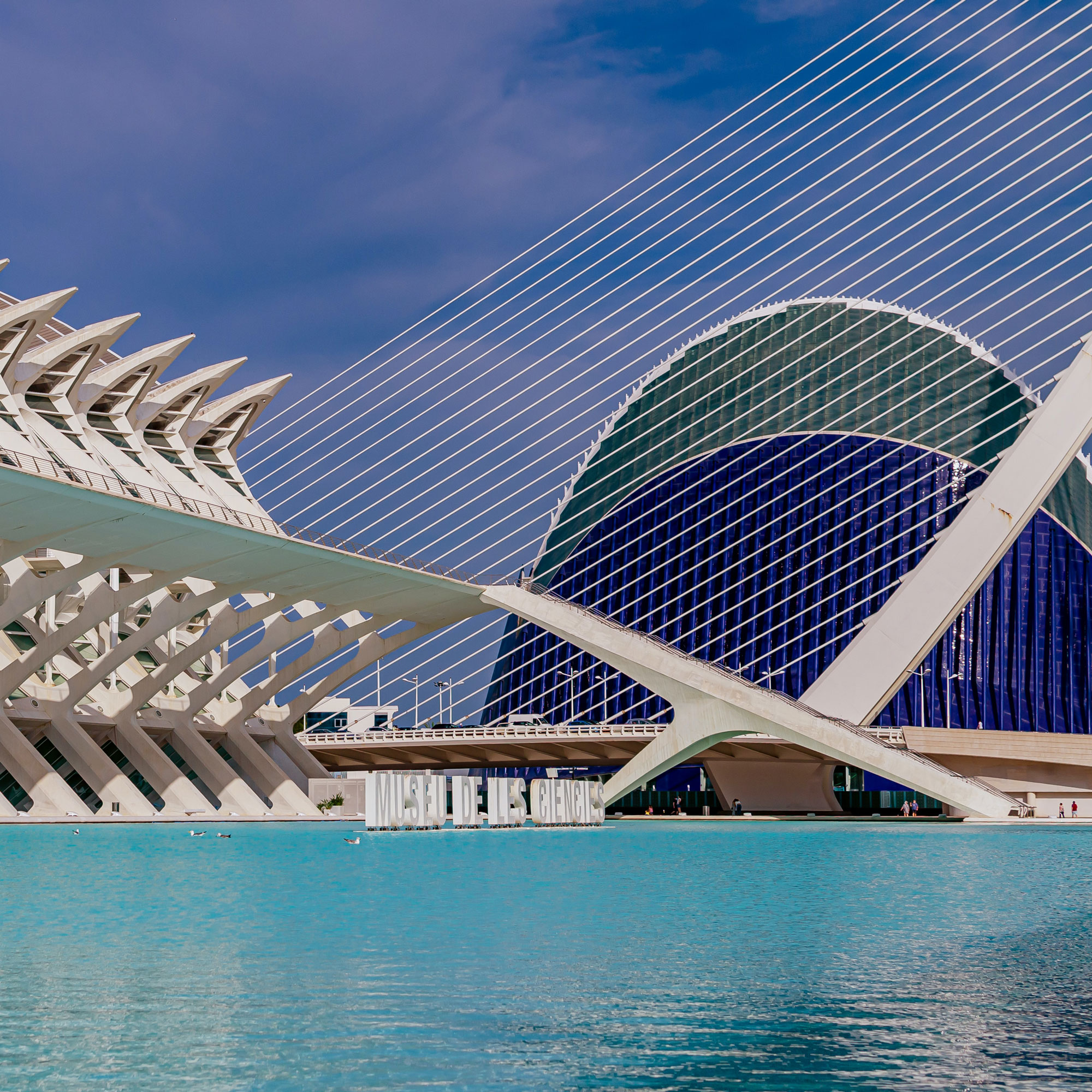 image of City of Arts and Sciences