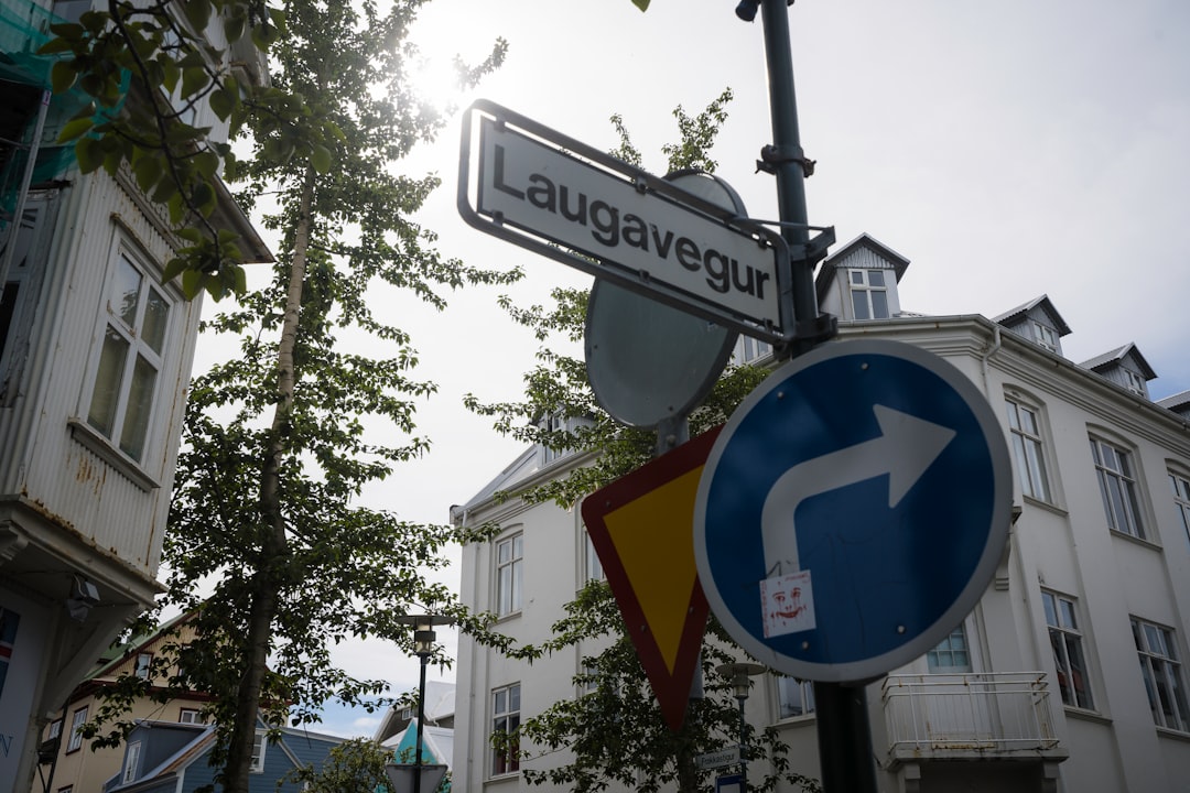 Image of Laugavegur Street
