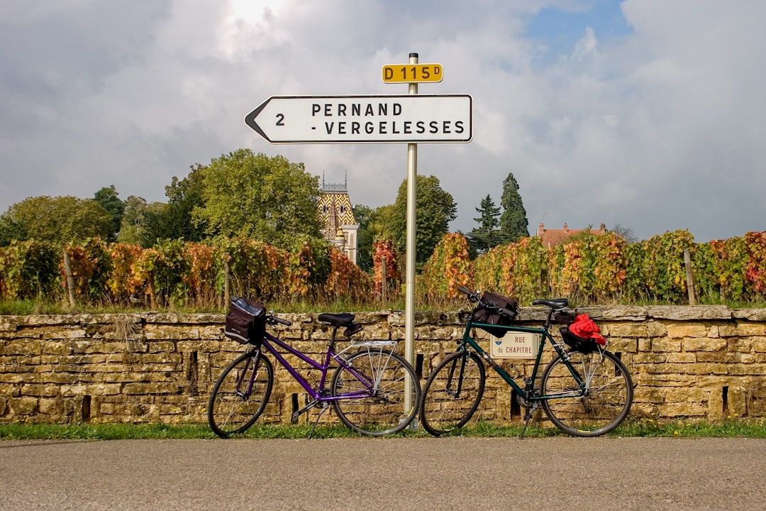 Image of Route des Vins d'Alsace Cycling Tour