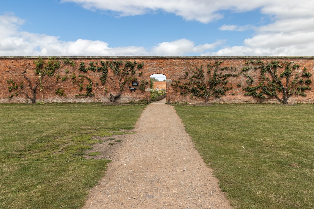 Image of Sky Garden