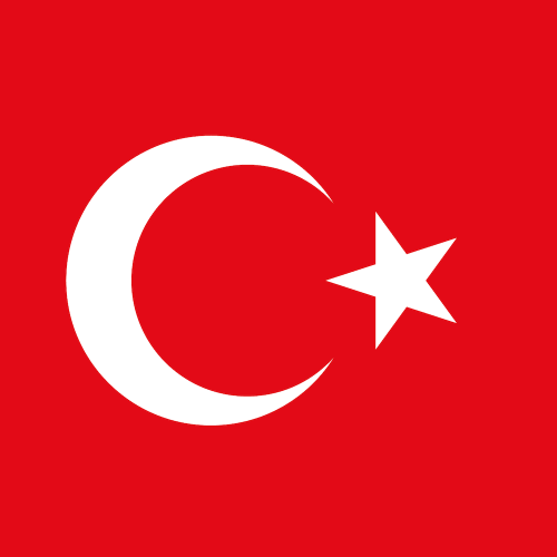 Istanbul's flag