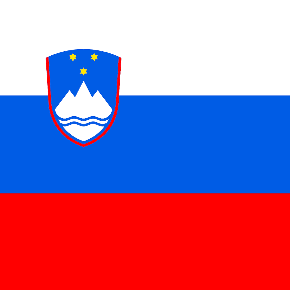 Ljubljana's flag