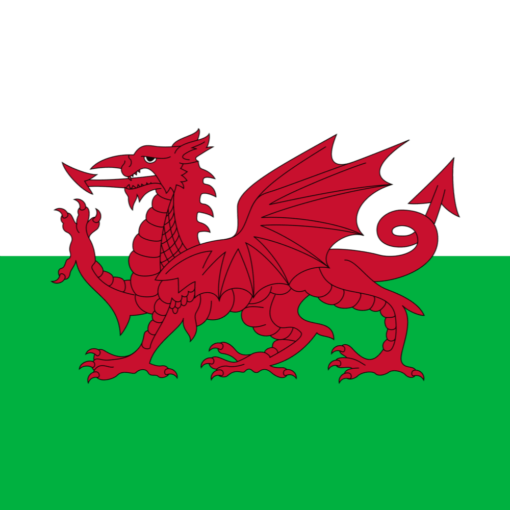 Wales's flag