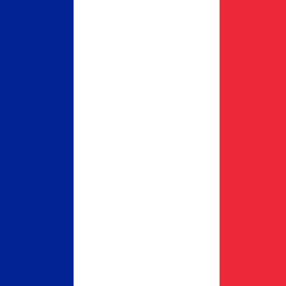 National flag of Louvre Museum