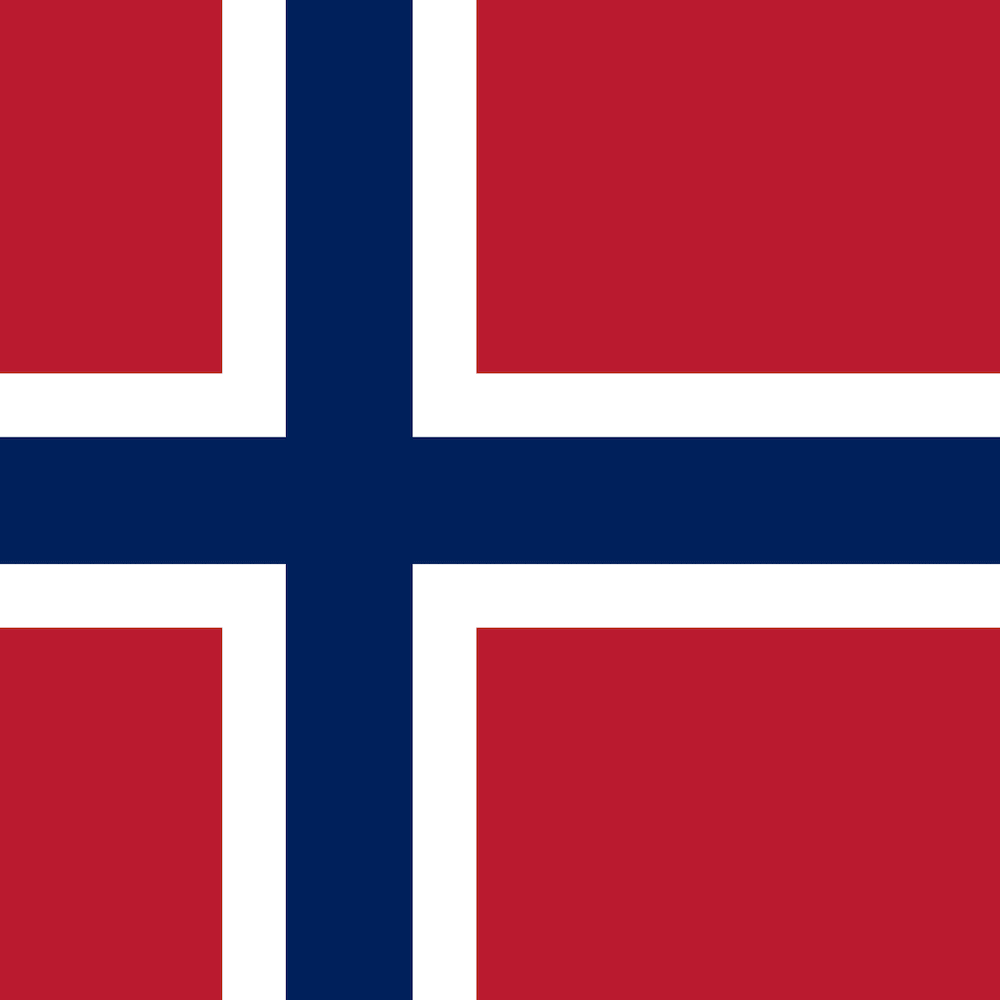 Oslo's flag